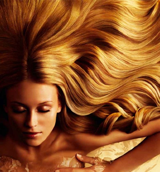 shampoo.jpg